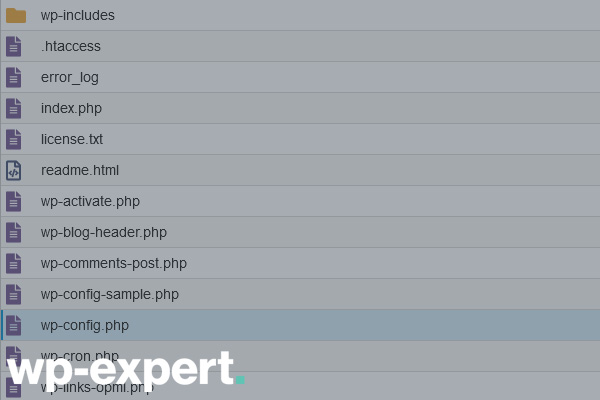 cpanel wp config file and folders